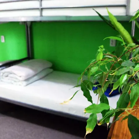 Hostel Alla House *